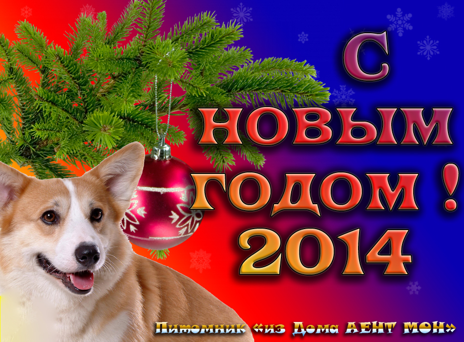 Новый год 2014