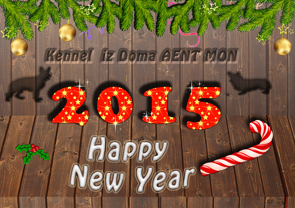 Happy new year! 2015
